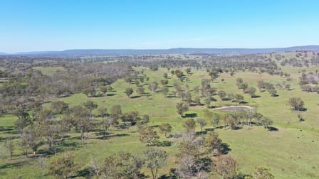 216 Mt Drummond Road Bundarra NSW 2359 - Image 2