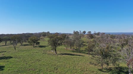 216 Mt Drummond Road Bundarra NSW 2359 - Image 3