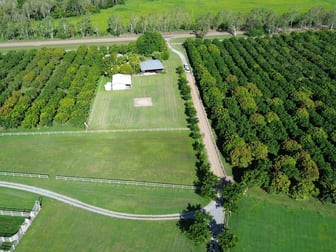 1276 Woodstock Giru Road Majors Creek QLD 4816 - Image 3