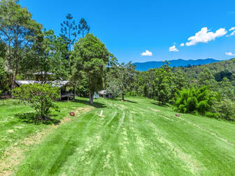 364 Byrrill Creek Road Byrrill Creek NSW 2484 - Image 1