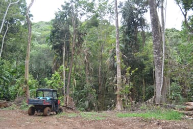 Lot 161/Lot 161 Fraser Road Millaa Millaa QLD 4886 - Image 3