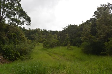 Lot 161/Lot 161 Fraser Road Millaa Millaa QLD 4886 - Image 2