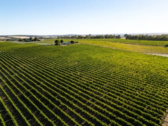 Yarrabee 1270 Wingebellup Road Frankland River WA 6396 - Image 3