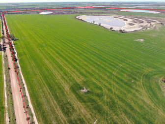 Harvey Road North Lake Grace WA 6353 - Image 3