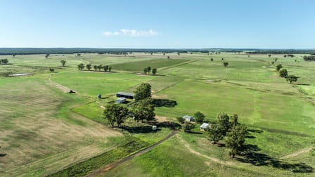 150R Mogriguy Forest Road Dubbo NSW 2830 - Image 1