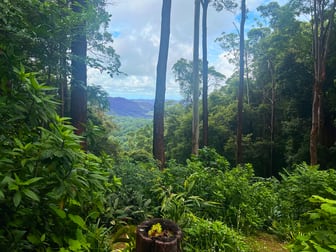 228 Newton Drive Nimbin NSW 2480 - Image 2
