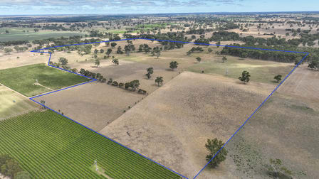 312 Edwards Road, Koppamurra Naracoorte SA 5271 - Image 3