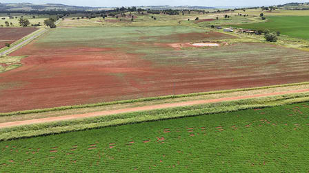 240 Magnussens Road Cushnie QLD 4608 - Image 3