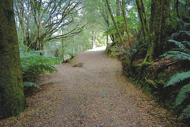 5073 Great Ocean Road Lavers Hill VIC 3238 - Image 2