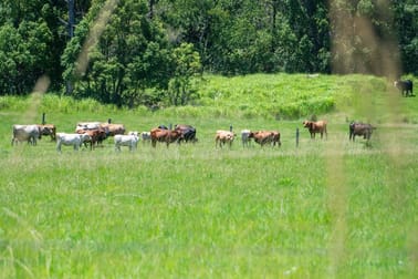 2367 Kangaroo Creek Road Kangaroo Creek NSW 2460 - Image 3