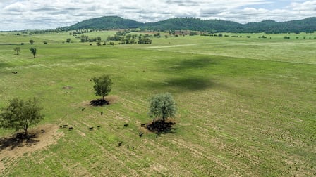 Ferndale/2794 Elcombe Road Bangheet NSW 2404 - Image 3