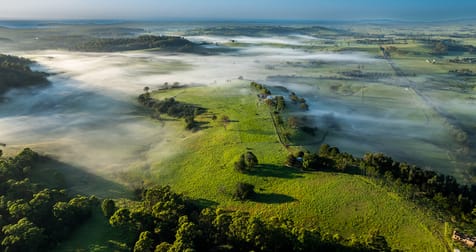 'Hillview' Princes Highway Milton NSW 2538 - Image 1