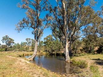 Part 145 Middle Creek Road Yarck VIC 3719 - Image 3