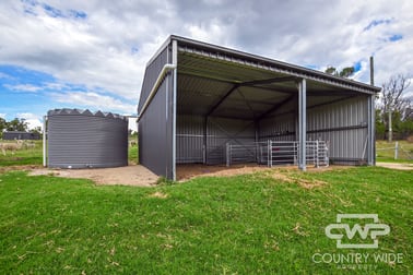 2687 Torrington Road Torrington NSW 2371 - Image 3