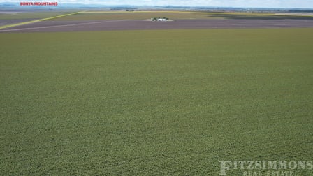 Dalby QLD 4405 - Image 2