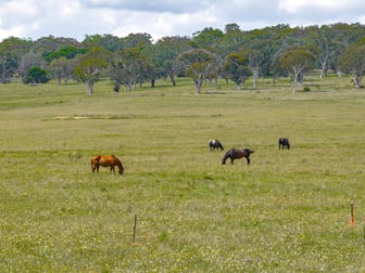 374 Breadalbane Road Collector NSW 2581 - Image 3