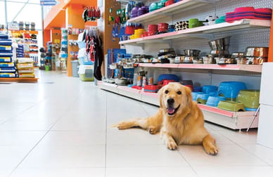 Animal Related  business for sale in Hobart - Image 3
