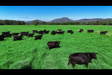 1456 Rollands Plains Road Ballengarra NSW 2441 - Image 1
