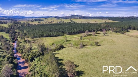 324 Pines Road Edenville NSW 2474 - Image 2