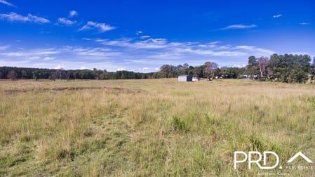 324 Pines Road Edenville NSW 2474 - Image 3