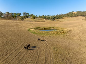 2543 Westbrook Road Oberne Creek NSW 2650 - Image 2
