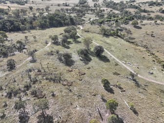 1713 Back Creek Road Tenterfield NSW 2372 - Image 2