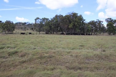Lot 1 Roos Road Tenterfield NSW 2372 - Image 2