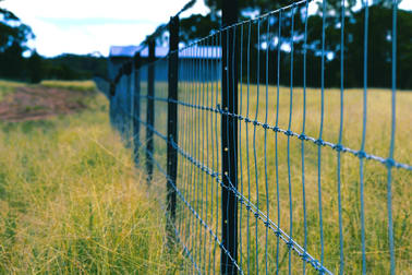"Arrawarra" 151 Numalla Road Trundle NSW 2875 - Image 2