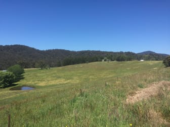 Wyndham NSW 2550 - Image 3