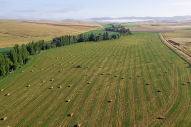 'The Silver Poplars' 207 Rose Valley Road Cooma NSW 2630 - Image 1