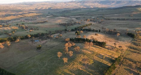 Lot 1 Oaky Creek Lane Vittoria NSW 2799 - Image 1