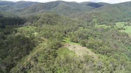 Nowendoc Road Caffreys Flat NSW 2424 - Image 3