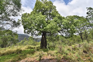1670 Watagan Creek Road Watagan NSW 2325 - Image 1