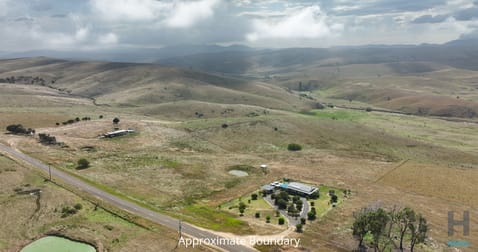 356 Omeo Valley Road Omeo Valley VIC 3898 - Image 3