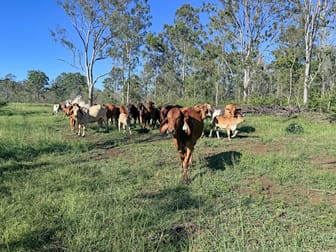 746 Fireclay Road Kalpowar QLD 4630 - Image 1