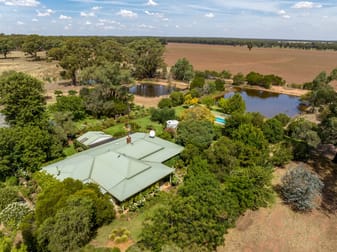 969 Thanowring Road Temora NSW 2666 - Image 3