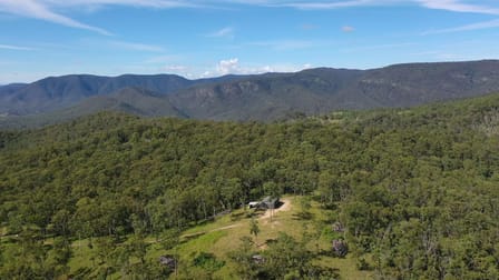 2310 Billirimba Road Tenterfield NSW 2372 - Image 2
