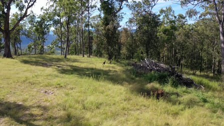 2310 Billirimba Road Tenterfield NSW 2372 - Image 3