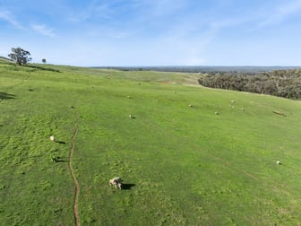 CA3 Hagans Lane Toolleen VIC 3551 - Image 3