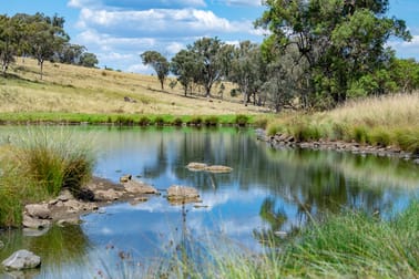 6690 Newell Highway Coonabarabran NSW 2357 - Image 3