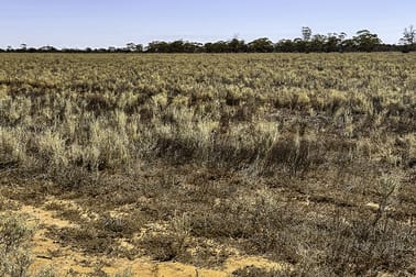 25433 Avon Location Road Mukinbudin WA 6479 - Image 2