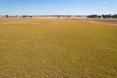 1111 Newell Highway Wyalong NSW 2671 - Image 3