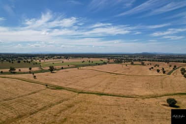 2106 Willala Road Gunnedah NSW 2380 - Image 1