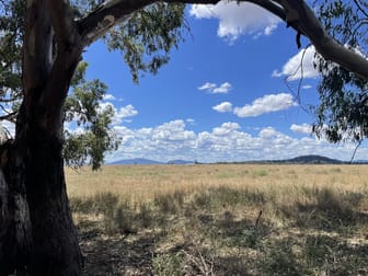 " Bluevale Lagoon" 232 Blue Vale Road Gunnedah NSW 2380 - Image 1