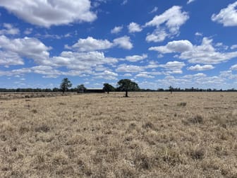 " Bluevale Lagoon" 232 Blue Vale Road Gunnedah NSW 2380 - Image 3