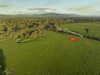 111 Moglonemby Road Euroa VIC 3666 - Image 1