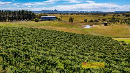 2222 Bylong Valley Way Rylstone NSW 2849 - Image 3