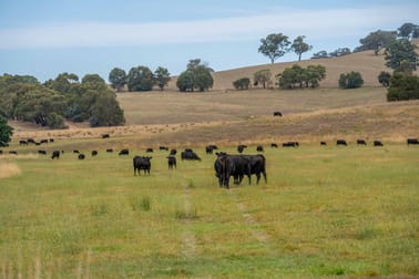 595 Ancona Road Ancona VIC 3715 - Image 2