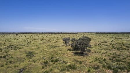 5570 Fernlee Road Bollon QLD 4488 - Image 2
