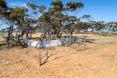 105 Piggery Road Mannum SA 5238 - Image 3